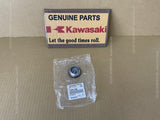 KAWASAKI W800 CAFE EJ800B CAP, GENERATOR 11065-1269