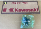 KAWASAKI KLX110R L 2021 TENSIONER-ASSY 12048-1164