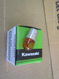 KAWASAKI KLX300SM SUPERMOTO KLX300 2021-2023 BULB 12V 10W 92069-0106 amber color