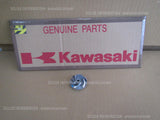 KAWASAKI KLX300 KLX300R KLX300SM 2020-2023 IMPELLER 59256-1063 WATER PUMP repair