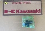 KAWASAKI KLX110R L 2021 TENSIONER-ASSY 12048-1164