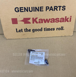 KAWASAKI NINJA ZX-10R ZX-10RR KRT 11-23 GUIDE-CHAIN 12053-0181 oil pump drive