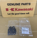 KAWASAKI NINJA ZX-10R KRT EDITION 2016 - 2025 CHAIN, OIL PUMP DRIVE 92057-0674