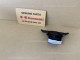 KAWASAKI NINJA H2 SX SE PLUS 2018-2021 FLAP 35019-0641 rear fender spare parts