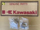 KAWASAKI BRUTE FORCE 300 KVF300 17-24 PISTON-CALIPER SET x2pc 43048-0027 rear
