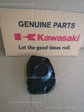KAWASAKI Z900RS CAFÉ 2019-2022 COVER PULSER 14093-0624 crankcase alloy motorbike