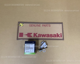 KAWASAKI KLX250 KLX250S 09-20 Z250S 14-18 TENSIONER-ASSY 12048-0054 cam chain