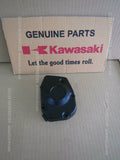 KAWASAKI Z900RS CAFÉ 2019-2022 COVER PULSER 14093-0624 crankcase alloy motorbike