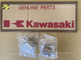 KAWASAKI BRUTE FORCE 300 KVF300 17-24 PISTON-CALIPER SET x2pc 43048-0027 rear