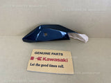 KAWASAKI ZX-10R ZX-10R KRT 2021 COVER-SIDE, LH, M.S.BLACK 36001-0700-660 diy 4U