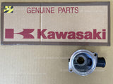 KAWASAKI VULCAN 1700 VAQUERO 11-23 VOYAGER 09-23 COOLING BODY UPP 16160-0775