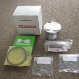 KAWASAKI DTRACKER LX250E GENUINE PISTON SET 13001-1433 13002-1073 13008-1149
