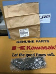 KAWASAKI ZR800 13-15 CAM CHAIN 92RH2015 126M 92057-0602 cadena del eje de levas