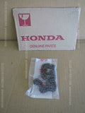 HONDA XR BAJA XR250 JDM MD30 CAM CHAIN 102L 14401-KCZ-003 BORG WARNER 102L motor