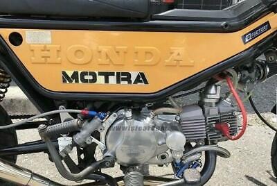 HONDA MOTRA AD05 CAM CHAIN DAIDO 82L 14401-035-003 CATENA DISTRIBUZIONE jdm BIKE