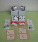 HONDA NSR250R MC21 MC28 SE SP MARK D PISTON FULL KIT 13104-KV3-830 CYLINDER C