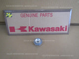 KAWASAKI KDX125SR DX125A IMPELLER 59256-1063 WATER PUMP WE HAVE MORE SPARES 4U