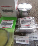 KAWASAKI DTRACKER X LX250V 2008-2016 PISTON SET 13001-0102 13008-1149 92033-1054