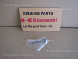 KAWASAKI NINJA ZX-10R 2011-2016 VALVE INTAKE 12004-0044 válvula de admisión moto