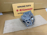 KAWASAKI KLX110L KLX110 2017-2023 HEAD-COMP-CYLINDER 11008-0890 off road spares