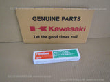 KAWASAKI Z900RS CAFE GASKET LIQUID TB1211F CLEAR 92104-0004 threebond 1211f part