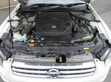 NISSAN STAGEA 4WD VQ25DET NM35 COUPLING ASSY-FAN 21082-AG20A turbo spare parts