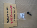 KAWASAKI KLR650 2018 KL650E GENERATOR BOLT FLANGED,12X40 92002-1693 crankshaft