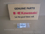 KAWASAKI GPZ900R ZX900A NINJA BOLT-SOCKET 6X16 SET X2PCS 120CA0616 sports bike4U