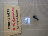 KAWASAKI KLR650 2018 KL650E GENERATOR BOLT FLANGED,12X40 92002-1693 crankshaft