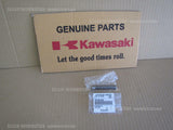 KAWASAKI KLR650 2018 KL650E PISTON-ASSY VALVE BY-PASS 16156-002 oil pump engine