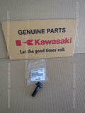KAWASAKI KLR650 2018 KL650E GENERATOR BOLT FLANGED,12X40 92002-1693 crankshaft