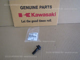 KAWASAKI KLR650 2018 KL650E GENERATOR BOLT FLANGED,12X40 92002-1693 crankshaft