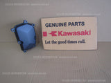 KAWASAKI CONCOURS 14 ABS 2019 COVER,PULSER 14091-0896 cubierta del pulsador moto
