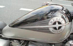 HONDA REBEL 250 1996 MC13 PLATE, DRUM STOPPER 24435-KB4-670