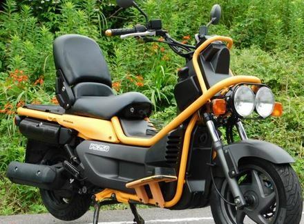 HONDA PS250 BIG RUCKUS VALVE, REED 18601-MJ1-791