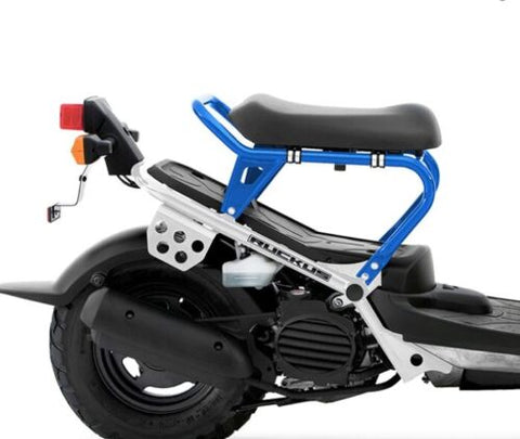 HONDA NPS50 RUCKUS 2023 CASE, L. (LOWER) 51521-GEZ-671